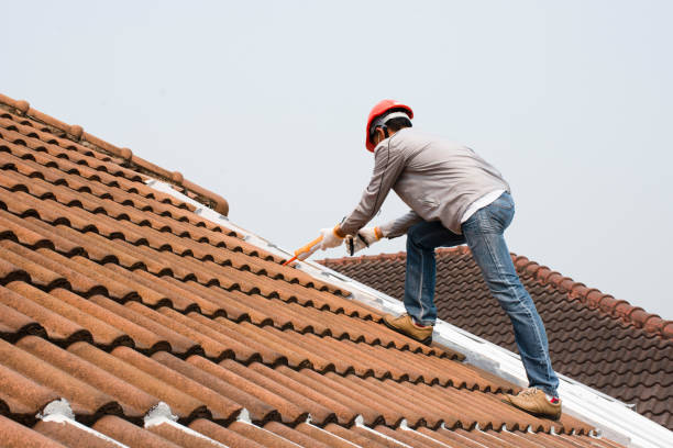 Best Roof Ventilation Installation  in Fairlea, WV