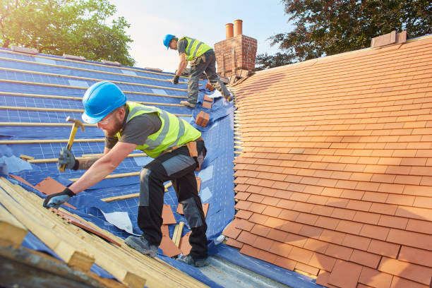 Best Roof Ventilation Installation  in Fairlea, WV